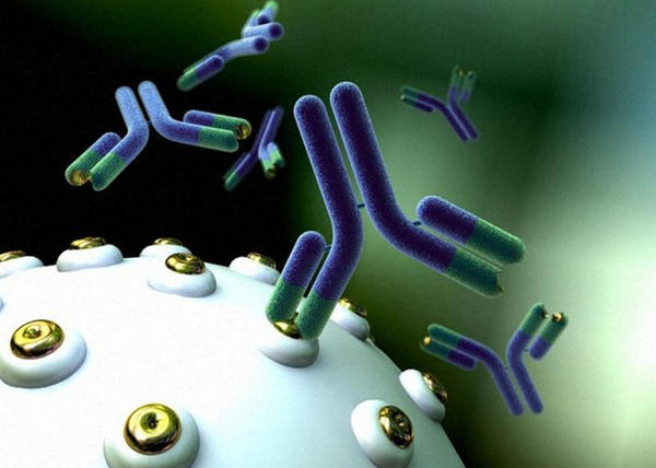 Descobrem que o sistema imune tem uma arma secreta: os anticorpos corruptos