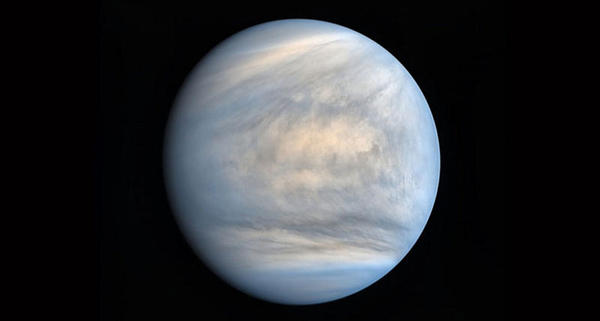 Poderia haver vida na atmosfera de Vênus